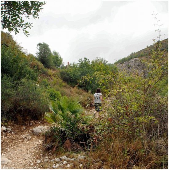 Vall De Pop…